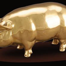 Pig